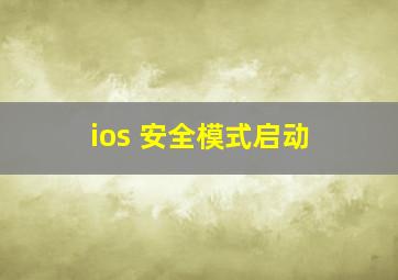 ios 安全模式启动